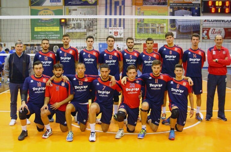 ΕΦΗΒΟΙ 2016-2017