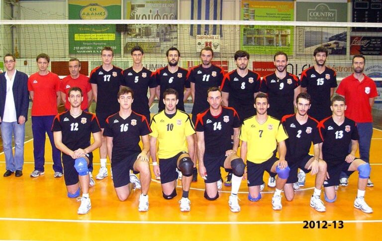 ΑΝΔΡΙΚΗ ΟΜΑΔΑ 2012-2013