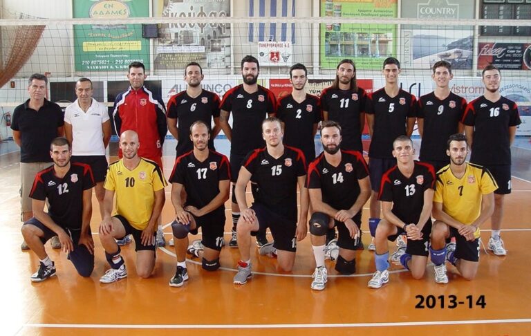 ΑΝΔΡΙΚΗ ΟΜΑΔΑ 2013-2014