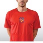 7-Pavlou